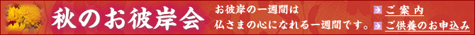 �H�̂��ފ݉�